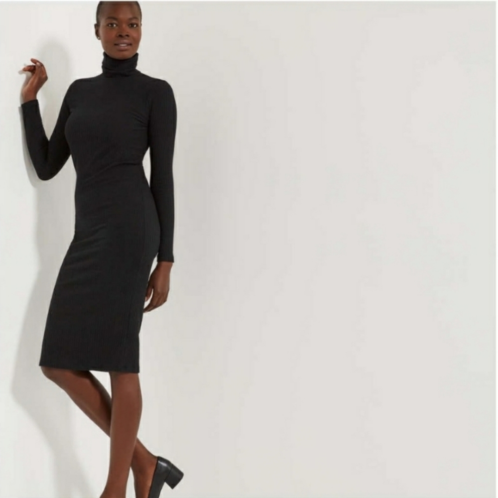 Black Ribbed Turtleneck Dress